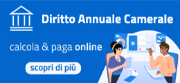 Diritto annuale