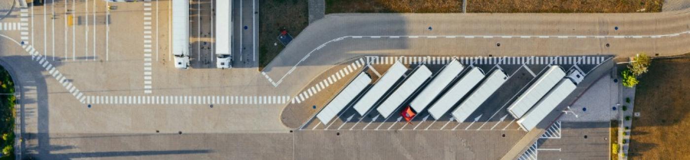 Esami ruolo conducenti