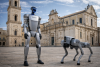 Robot Lecce